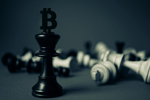 Bitcoin chess piece